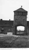 Auschwitz32.jpg (75444 Byte)