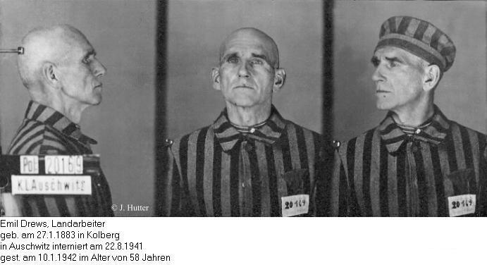 Pink Triangle Prisoner from Auschwitz Concentration Camp: Emil Drews