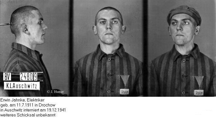 Pink Triangle Prisoner from Auschwitz Concentration Camp: Erwin Jahnke
