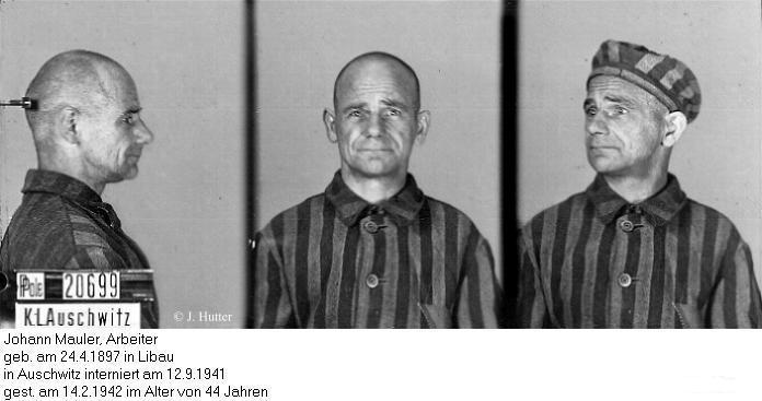 Pink Triangle Prisoner from Auschwitz Concentration Camp: Johann Mauler