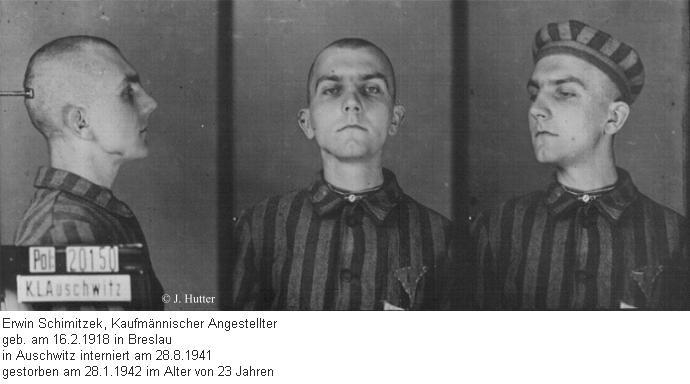 Pink Triangle Prisoner from Auschwitz Concentration Camp: Erwin Schimitzek