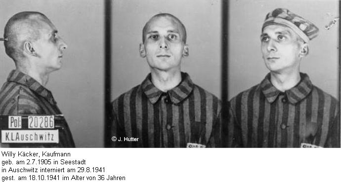 Pink Triangle Prisoner from Auschwitz Concentration Camp: Willy Käcker