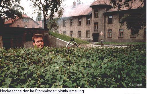 Martin Amelung: Arbeiten im Stammlager Auschwitz