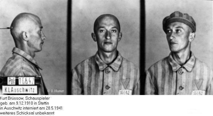 Pink Triangle Prisoner from Auschwitz Concentration Camp: Kurt Brssow